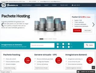 Servicii hosting si gazduire web